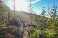 /album/thalerkogel-12-november-2024/thalerkogel-12-11-2024-22-jpg/